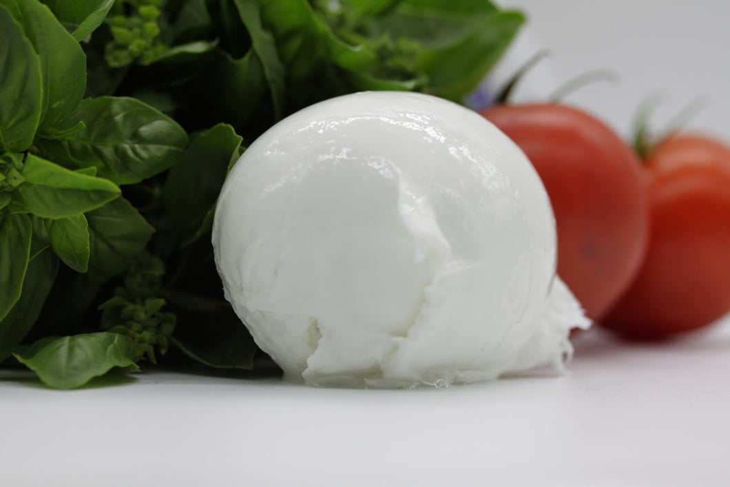 Buffalo Mozzarella Ball (each)